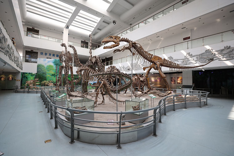 中國地質(zhì)大學(xué)(武漢)-地大熱能 中國地質(zhì)大學(xué)(武漢)-地大熱能